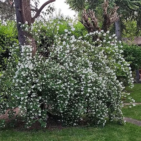Privatunterkunft La Casa Di Gim Lugo (Ravenna)