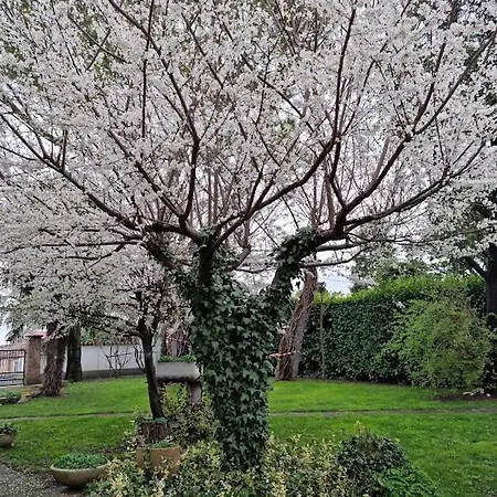 La Casa Di Gim Lugo (Ravenna)