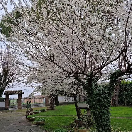 Alloggio in famiglia La Casa Di Gim