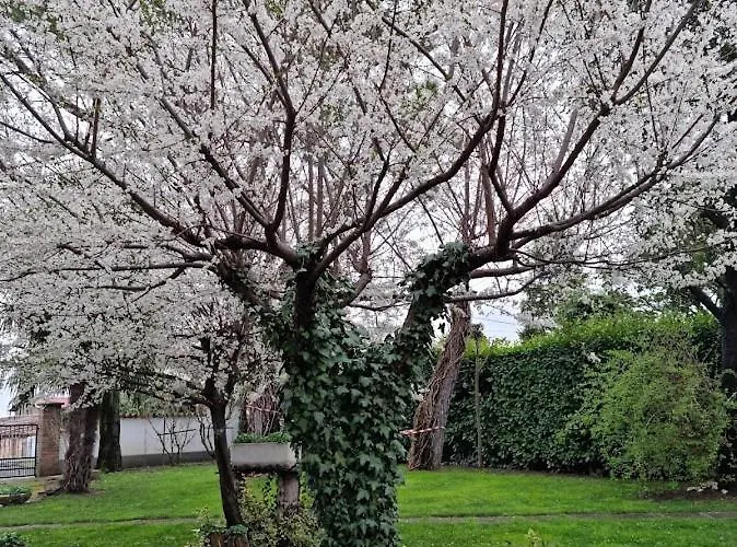 La Casa Di Gim Lugo (Ravenna)