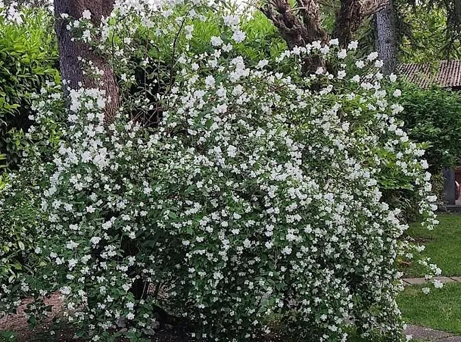 Pansiyon La Casa Di Gim Lugo (Ravenna)