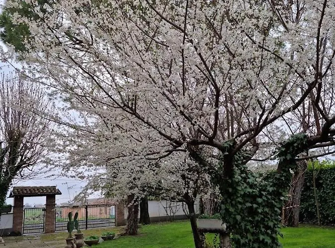 Pansiyon La Casa Di Gim